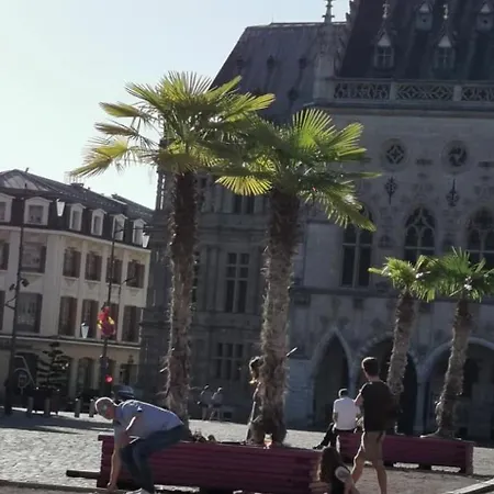 Joli Au Pied Du Beffroi אראס