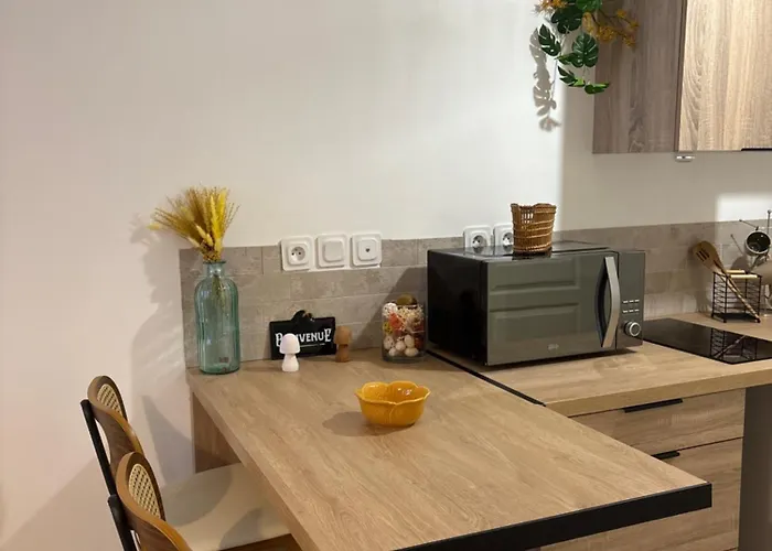 דירה Joli Au Pied Du Beffroi