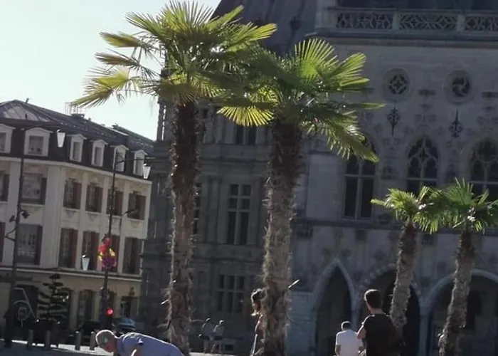 Joli Au Pied Du Beffroi אראס
